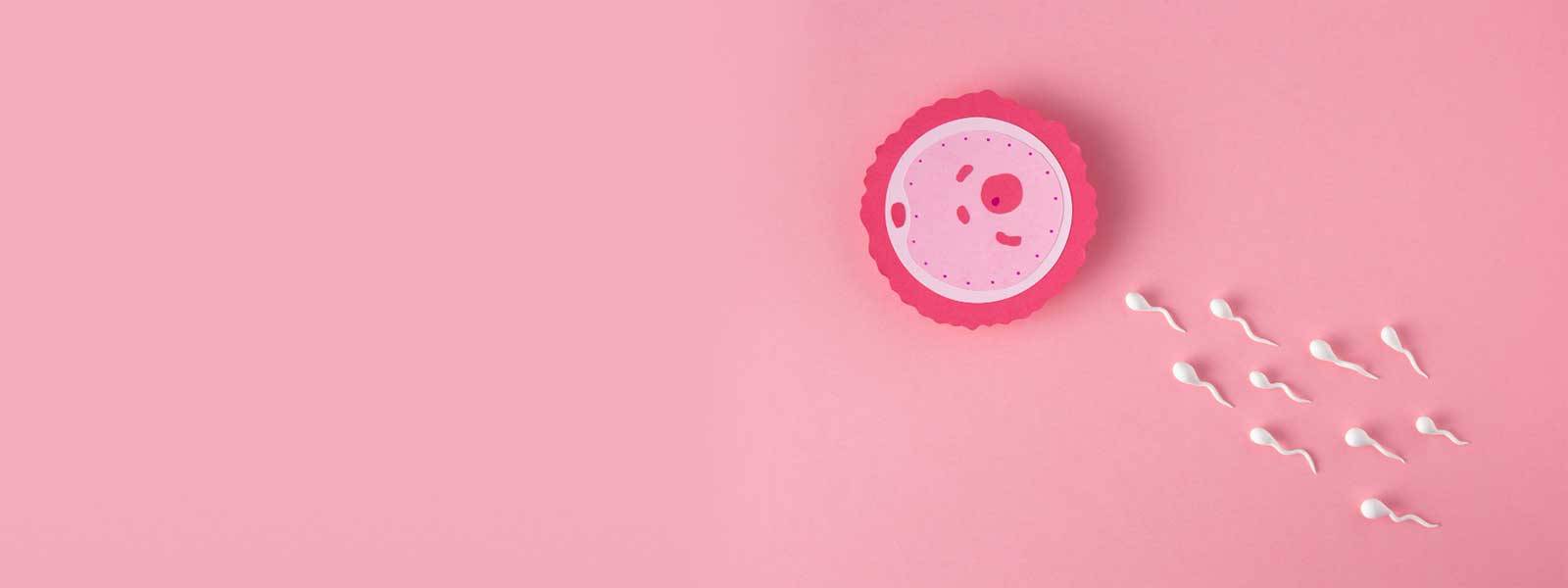 IVF center in Yavatmal at Kamla Nursing Home